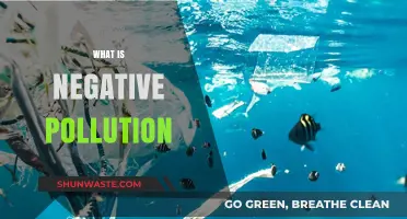 Negative Pollution: A Positive Environmental Impact