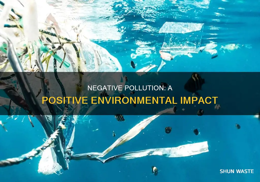 what is negative pollution