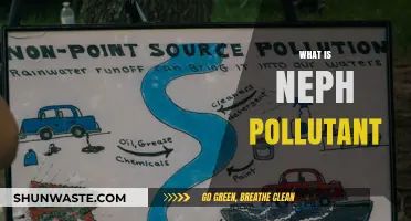 Understanding the Impact of Nephrotoxic Pollutants