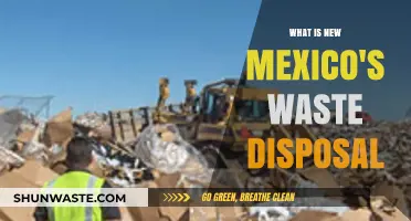 Exploring New Mexico's Waste Disposal: Challenges and Innovations