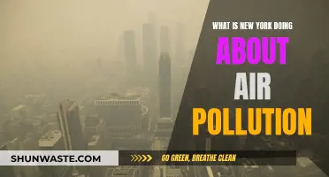 New York's Battle Against Air Pollution