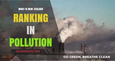 Pollution in New Zealand: How Bad Is It?
