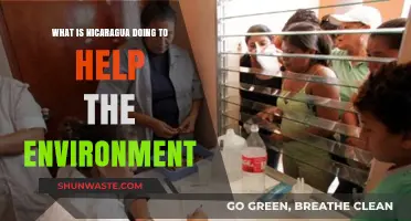 Nicaragua's Green Revolution: Environmental Initiatives and Sustainable Practices