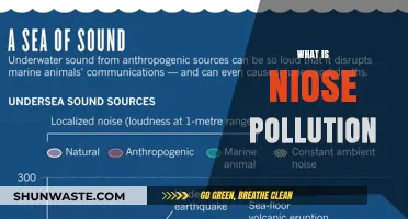 Understanding Noise Pollution: Impact and Prevention