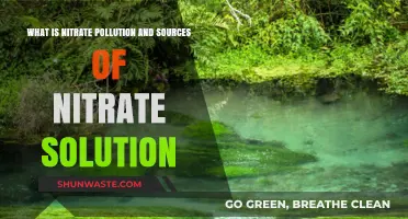 Nitrate Pollution: Sources and Solutions