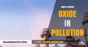 Nitric Oxide Pollution: Understanding Its Impact and Sources