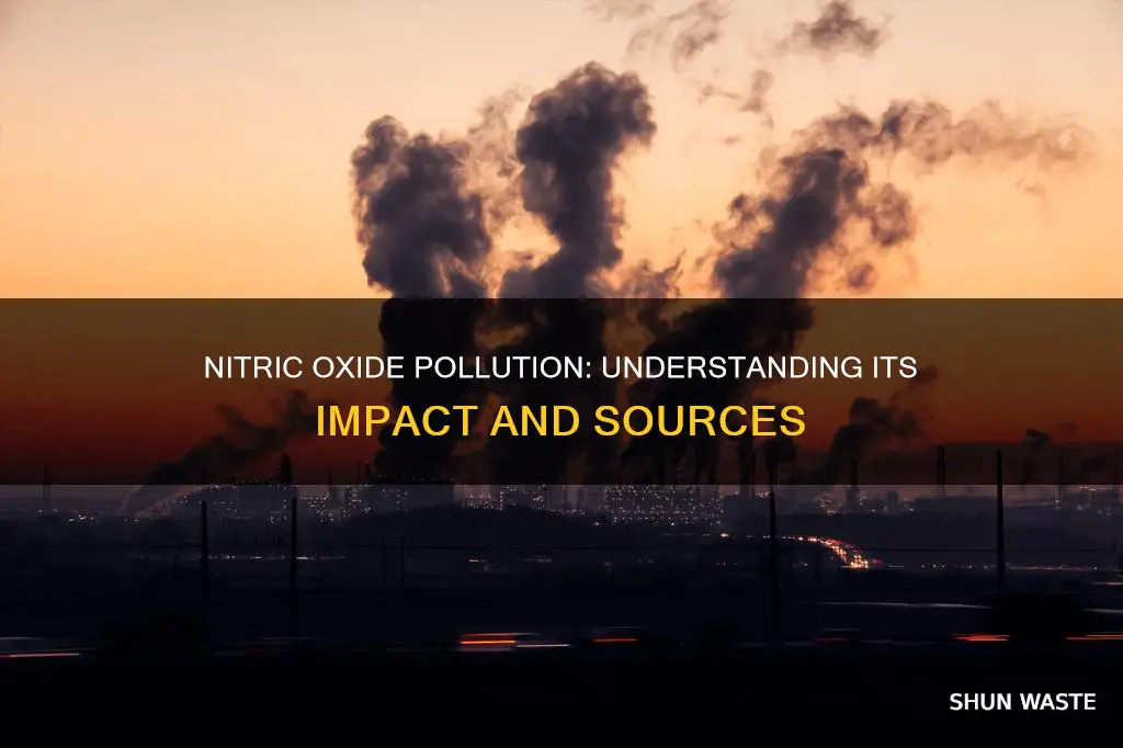 what is nitric oxide in pollution