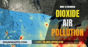 Nitrogen Dioxide: A Dangerous Air Pollutant