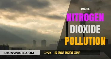 Nitrogen Dioxide Pollution: A Hazardous Air Pollutant