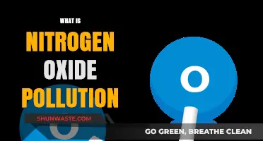 Nitrogen Oxide Pollution: A Clear and Present Danger