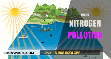 Nitrogen Pollution: A Clear and Present Danger