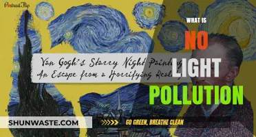 Light Pollution: Understanding the Dark Side of Lights
