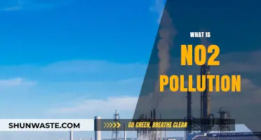 Nitrogen Dioxide Pollution: What, Why, and How?