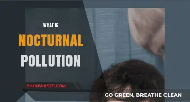 Nocturnal Pollution: Understanding Nightly Emissions