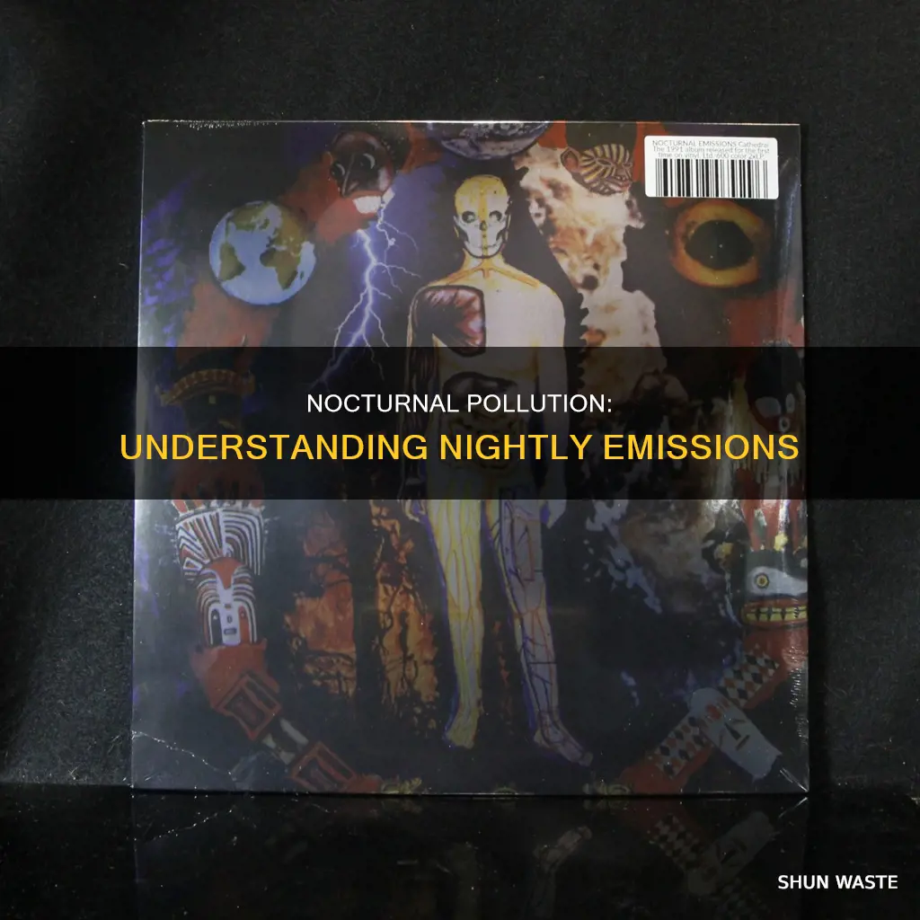 what is nocturnal pollution