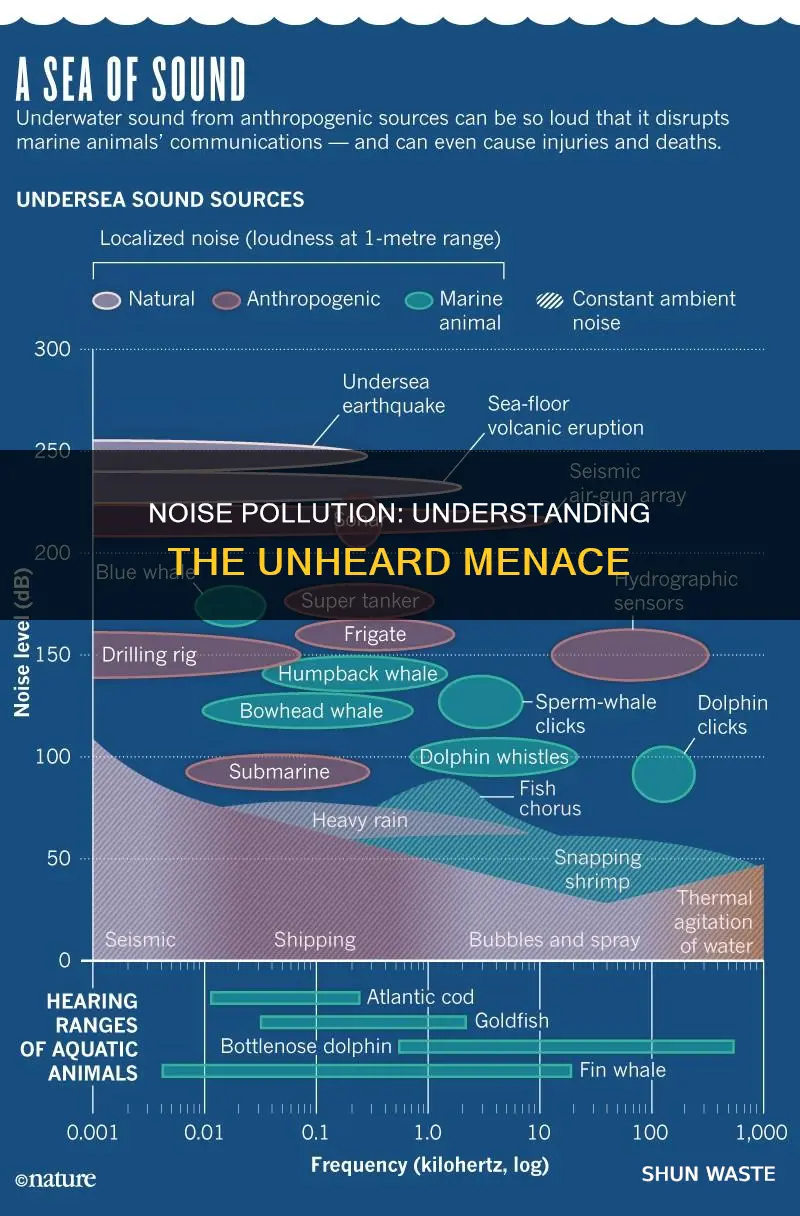 what is noice pollution