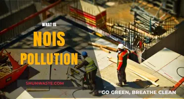 Understanding Noise Pollution: Impact and Prevention