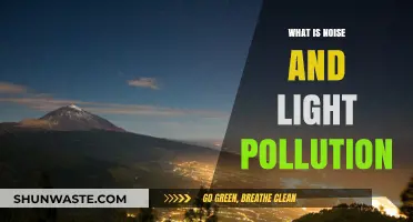 Understanding Noise and Light Pollution