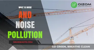 Understanding Noise and Its Pollution
