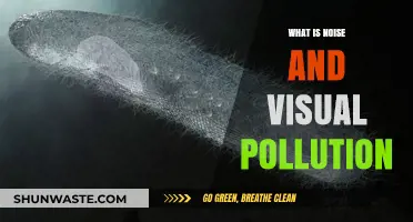 Understanding Noise and Visual Pollution