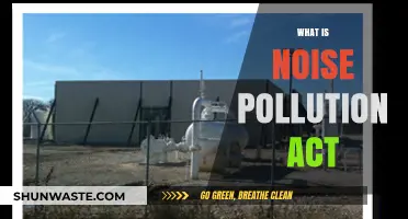 Understanding the Noise Pollution Act