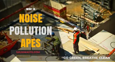 Understanding Noise Pollution: Impact and Solutions