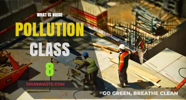 Understanding Noise Pollution: Impacts and Prevention