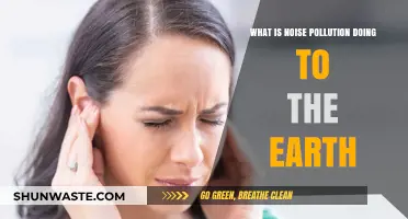 The Earth Suffers from Noise Pollution
