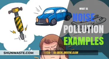 Noise Pollution: Understanding the Disturbing Sounds