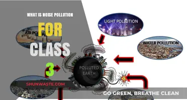 Understanding Noise Pollution for Young Learners