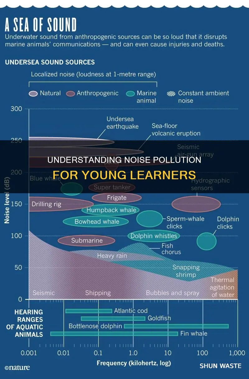 what is noise pollution for class 3