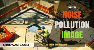 Noise Pollution: Understanding the Visual Impact