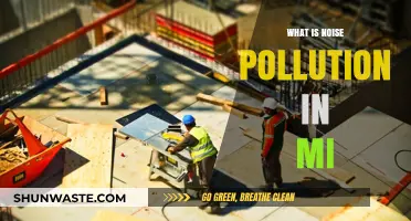 Michigan's Noise Pollution: Understanding the Unheard