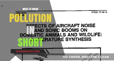 Understanding Noise Pollution and Its Impact