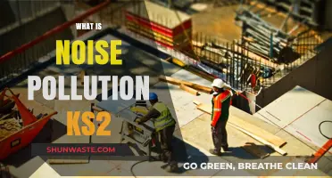 Understanding Noise Pollution: KS2 Guide