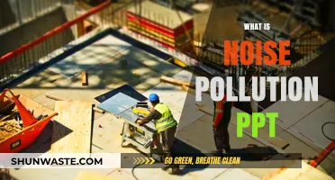 Noise Pollution: Understanding the Unheard