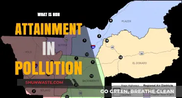 Understanding Non-Attainment: Pollution's Impact and Consequences