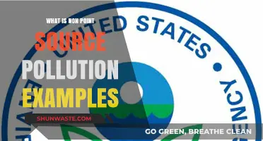 Understanding Non-Point Source Pollution and Its Impact