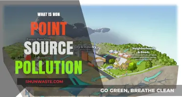 Understanding Non-Point Source Pollution and Its Impact