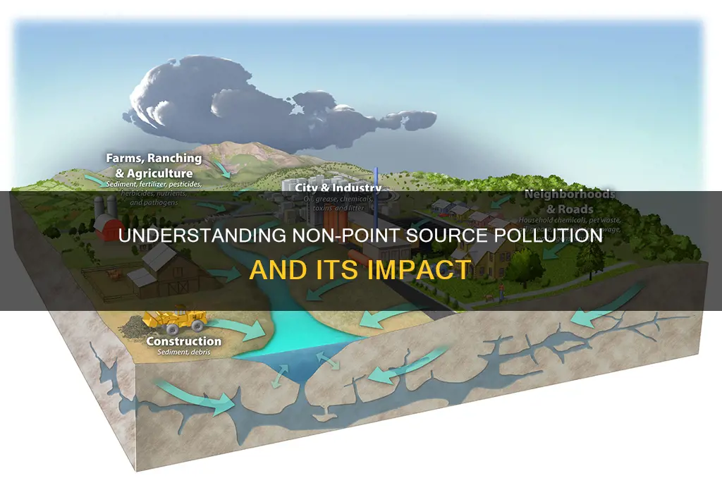 what is non point source pollution