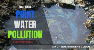 Understanding Non-Point Water Pollution: Causes and Solutions