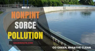 Understanding Nonpoint Source Pollution: A Complex Environmental Issue