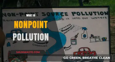 Understanding Nonpoint Pollution: A Complex Environmental Issue