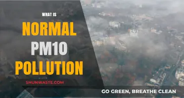 Understanding PM10 Pollution and Its Health Impact