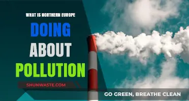 Northern Europe's Pollution-Fighting Strategies
