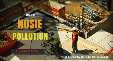 Understanding Noise Pollution: Impact and Prevention