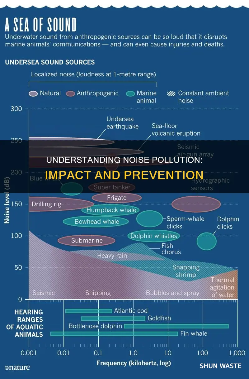 what is nosie pollution