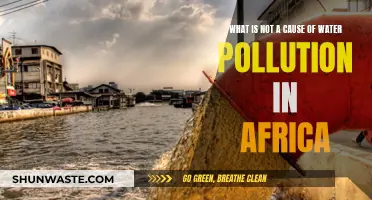 Unveiling Africa's Clean Water: Understanding Non-Pollution Factors