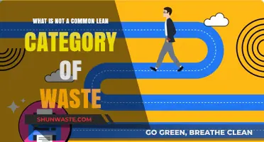 Unveiling the Overlooked: What’s Not a Common Lean Waste Category?
