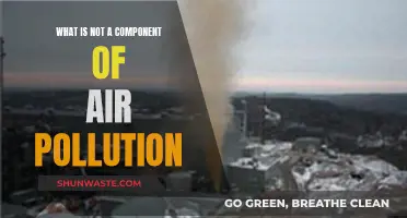 Air Pollution: What's Not Harming Our Air?